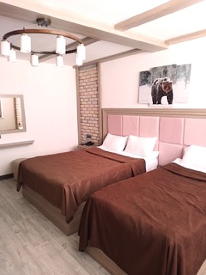 Sarıkamış Chalet Khione Ekonomik Oda