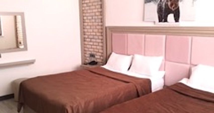 Sarıkamış Chalet Khione